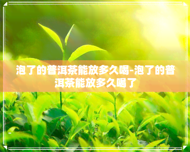 泡了的普洱茶能放多久喝-泡了的普洱茶能放多久喝了