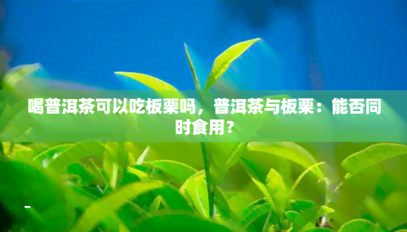 喝普洱茶可以吃板栗吗，普洱茶与板栗：能否同时食用？