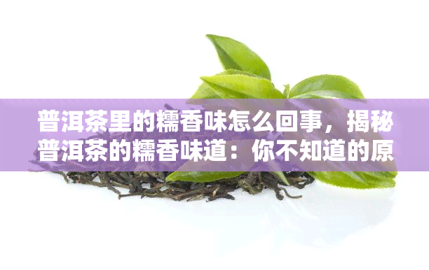 普洱茶里的糯香味怎么回事，揭秘普洱茶的糯香味道：你不知道的原因