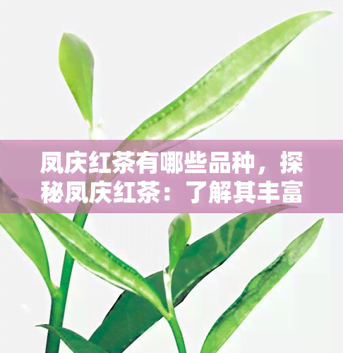 凤庆红茶有哪些品种，探秘凤庆红茶：了解其丰富多样的品种