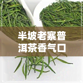 半坡老寨普洱茶香气口感-半坡老寨普洱茶特点