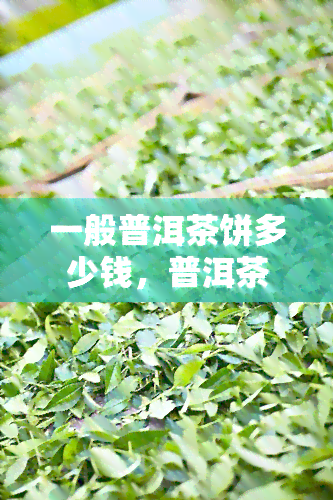 一般普洱茶饼多少钱，普洱茶饼价格大揭秘：一般品鉴级别的茶叶多少钱？