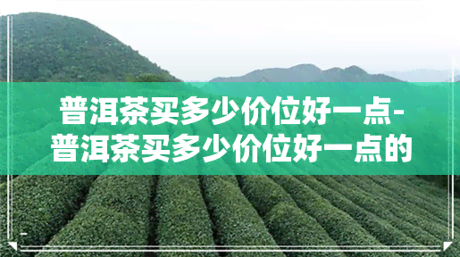 普洱茶买多少价位好一点-普洱茶买多少价位好一点的