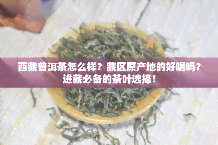  *** 普洱茶怎么样？藏区原产地的好喝吗？进藏必备的茶叶选择！