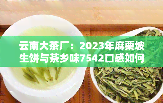 云南大茶厂：2023年麻栗坡生饼与茶乡味7542口感如何？官网介绍