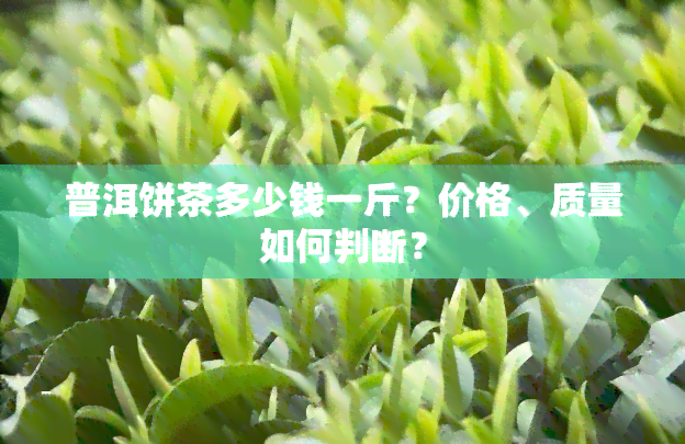 普洱饼茶多少钱一斤？价格、质量如何判断？