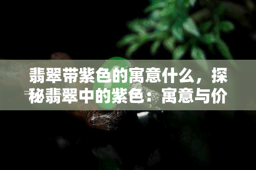 翡翠带紫色的寓意什么，探秘翡翠中的紫色：寓意与价值解析