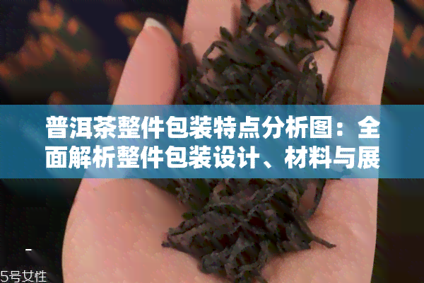 普洱茶整件包装特点分析图：全面解析整件包装设计、材料与展开过程