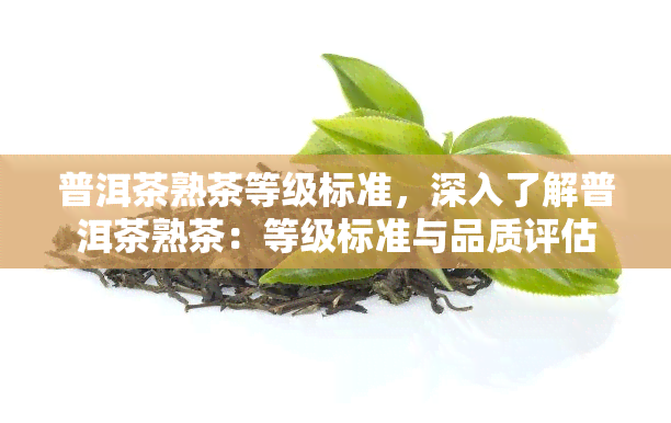 普洱茶熟茶等级标准，深入了解普洱茶熟茶：等级标准与品质评估