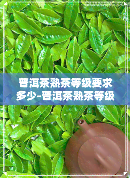 普洱茶熟茶等级要求多少-普洱茶熟茶等级要求多少