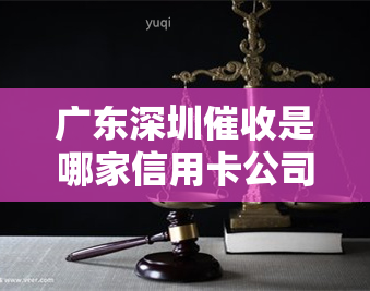 广东深圳是哪家信用卡公司？请指教！