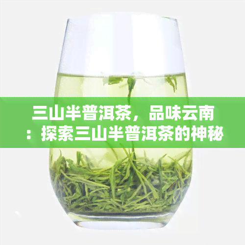 三山半普洱茶，品味云南：探索三山半普洱茶的神秘魅力