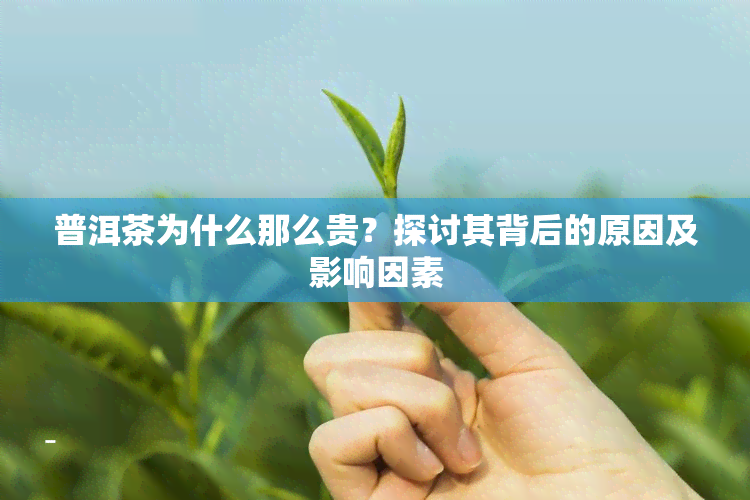 普洱茶为什么那么贵？探讨其背后的原因及影响因素