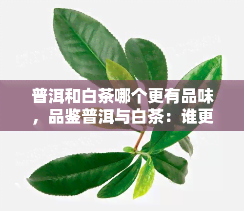 普洱和白茶哪个更有品味，品鉴普洱与白茶：谁更胜一筹？