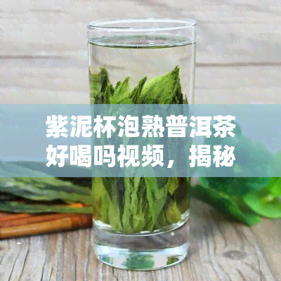 紫泥杯泡熟普洱茶好喝吗视频，揭秘！紫泥杯泡熟普洱茶，口感如何？看这里就知道！