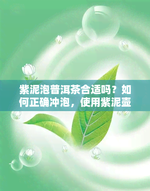 紫泥泡普洱茶合适吗？如何正确冲泡，使用紫泥壶泡生普洱茶有何优缺点？