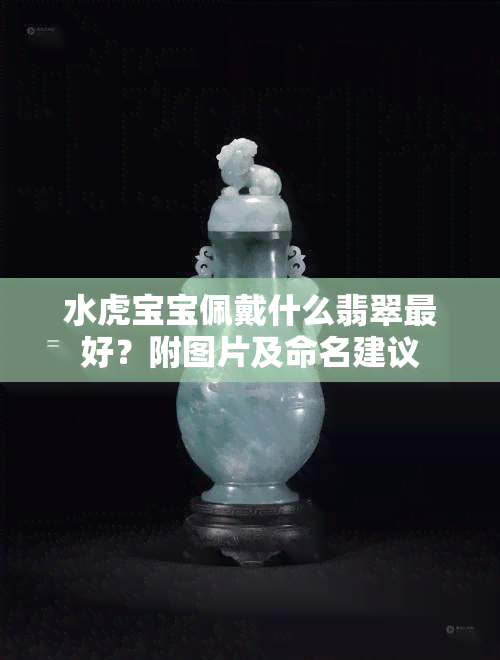 水虎宝宝佩戴什么翡翠更好？附图片及命名建议