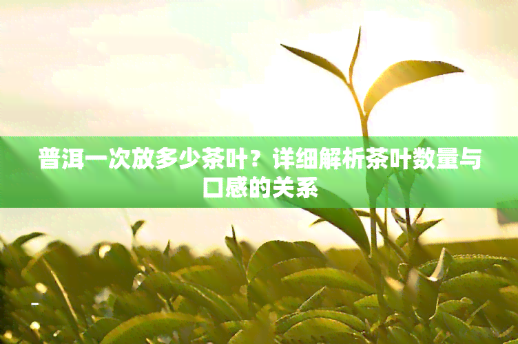 普洱一次放多少茶叶？详细解析茶叶数量与口感的关系