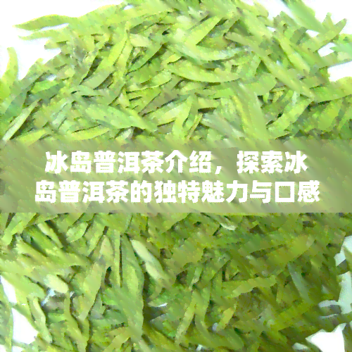 冰岛普洱茶介绍，探索冰岛普洱茶的独特魅力与口感