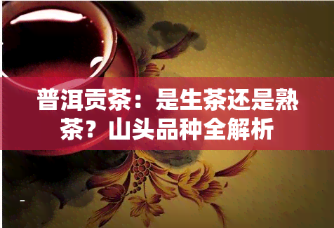 普洱贡茶：是生茶还是熟茶？山头品种全解析