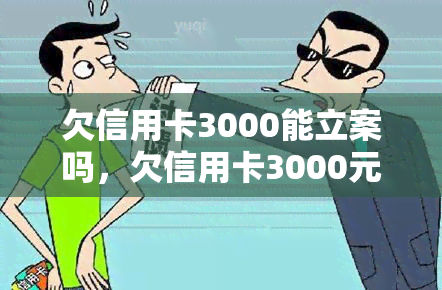 欠信用卡3000能立案吗，欠信用卡3000元是否可以立案？探讨相关法律规定与处理方式