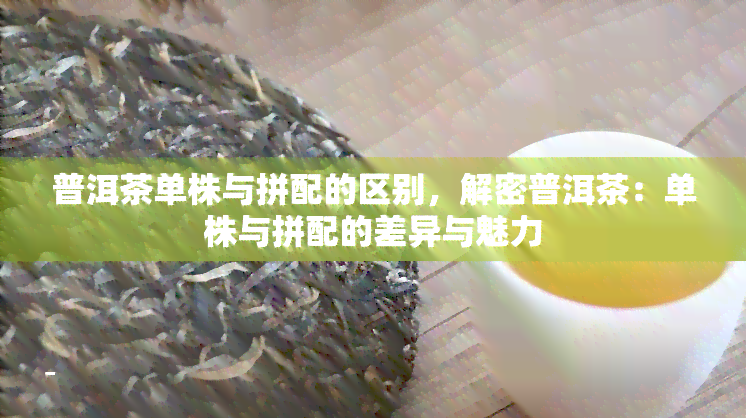 普洱茶单株与拼配的区别，解密普洱茶：单株与拼配的差异与魅力