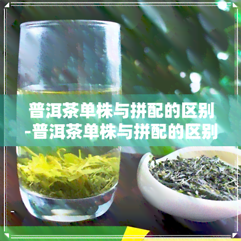 普洱茶单株与拼配的区别-普洱茶单株与拼配的区别是什么