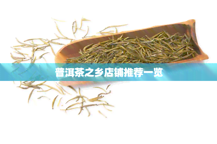 普洱茶之乡店铺推荐一览