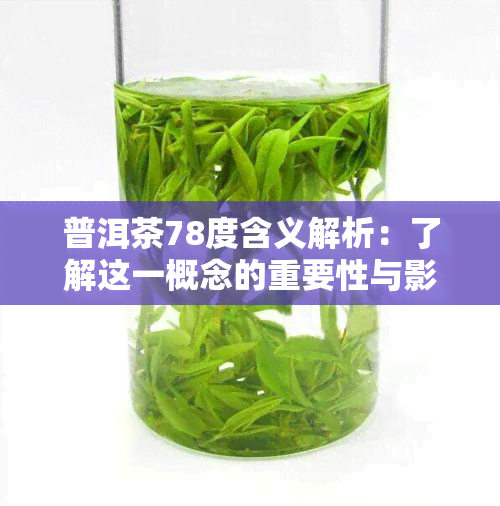 普洱茶78度含义解析：了解这一概念的重要性与影响