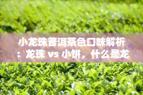 小龙珠普洱茶色口味解析：龙珠 vs 小饼，什么是龙珠普洱？