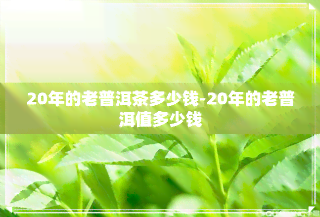 20年的老普洱茶多少钱-20年的老普洱值多少钱