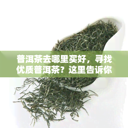 普洱茶去哪里买好，寻找优质普洱茶？这里告诉你哪里买！