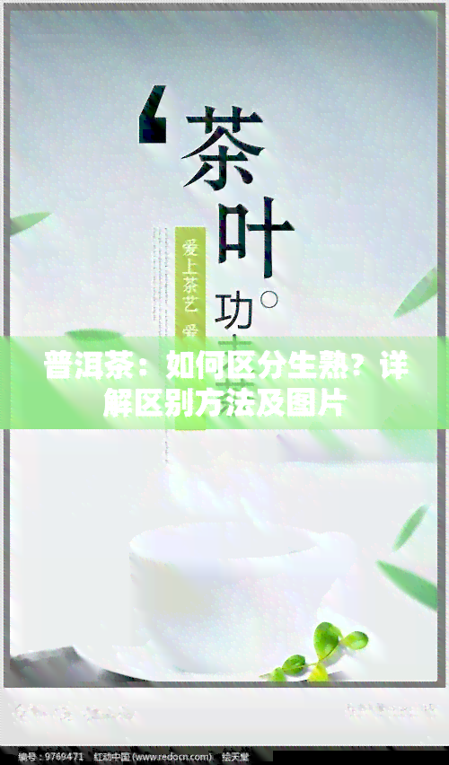 普洱茶：如何区分生熟？详解区别方法及图片