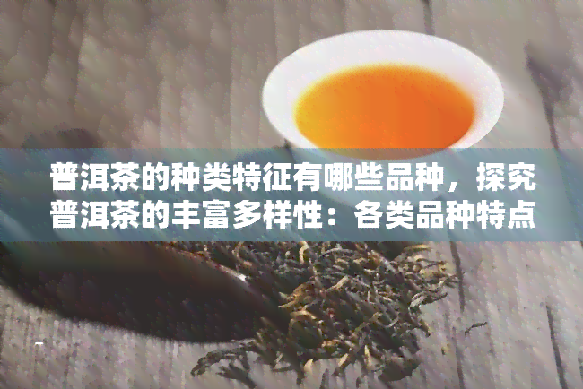 普洱茶的种类特征有哪些品种，探究普洱茶的丰富多样性：各类品种特点解析