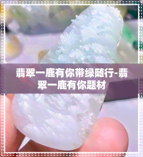 翡翠一鹿有你带绿随行-翡翠一鹿有你题材