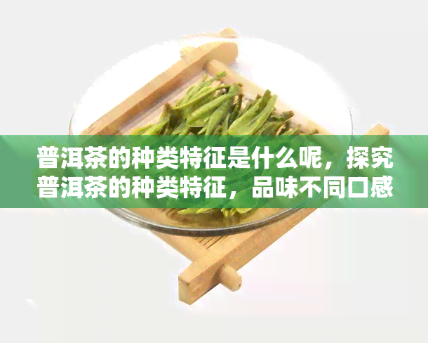 普洱茶的种类特征是什么呢，探究普洱茶的种类特征，品味不同口感的世界级茶叶