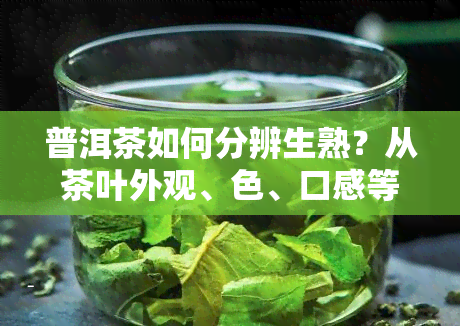 普洱茶如何分辨生熟？从茶叶外观、色、口感等方面进行比较分析，了解普洱茶生熟的区别和特点。