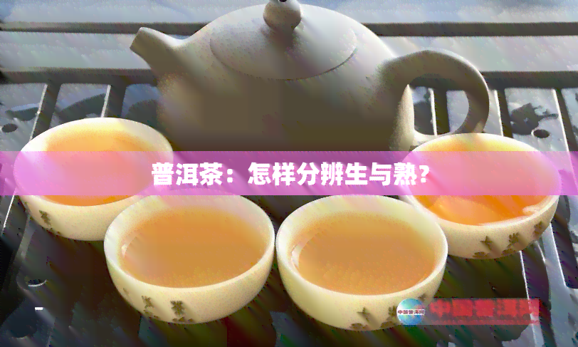 普洱茶：怎样分辨生与熟？