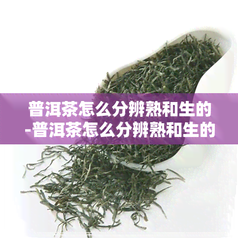 普洱茶怎么分辨熟和生的-普洱茶怎么分辨熟和生的区别