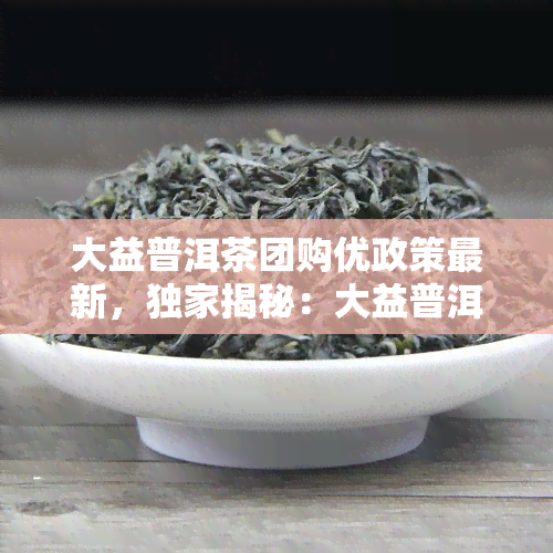 大益普洱茶团购优政策最新，独家揭秘：大益普洱茶团购优政策最新情报！