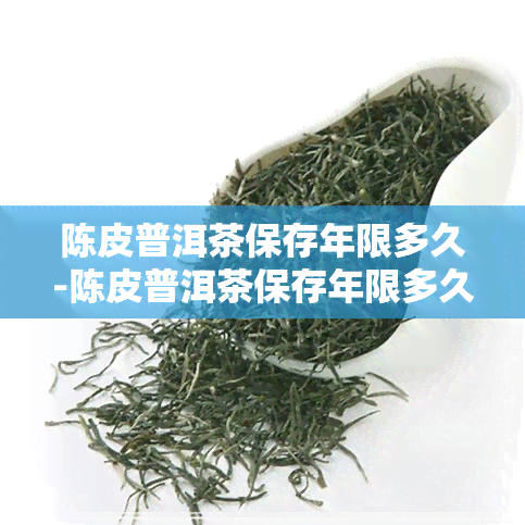 陈皮普洱茶保存年限多久-陈皮普洱茶保存年限多久