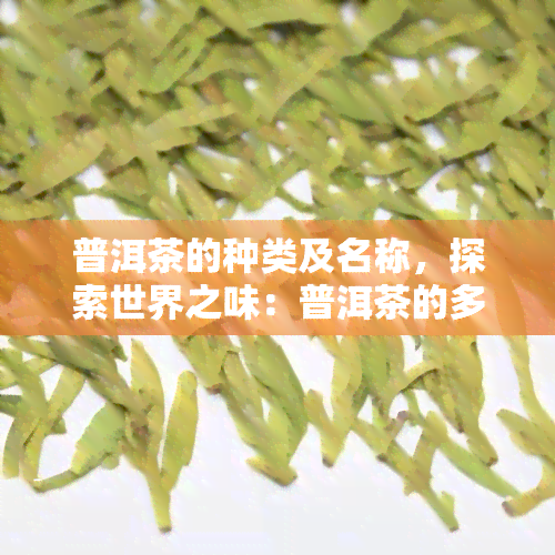 普洱茶的种类及名称，探索世界之味：普洱茶的多样品种与命名解析