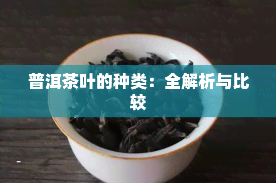 普洱茶叶的种类：全解析与比较