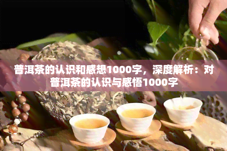 普洱茶的认识和感想1000字，深度解析：对普洱茶的认识与感悟1000字