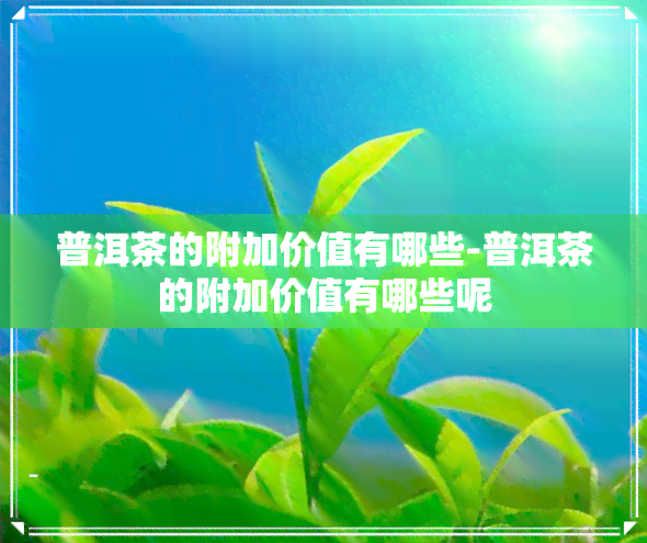 普洱茶的附加价值有哪些-普洱茶的附加价值有哪些呢