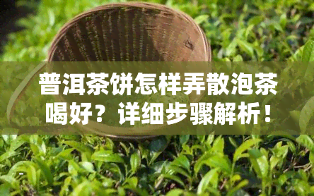 普洱茶饼怎样弄散泡茶喝好？详细步骤解析！