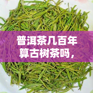 普洱茶几百年算古树茶吗，普洱茶：百年老树是否算得上古树茶？