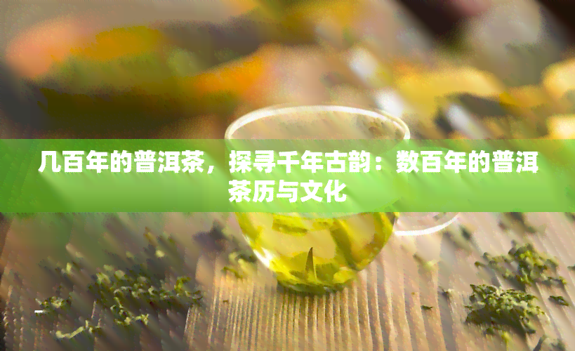 几百年的普洱茶，探寻千年古韵：数百年的普洱茶历与文化