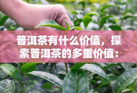 普洱茶有什么价值，探索普洱茶的多重价值：历、文化与健益处