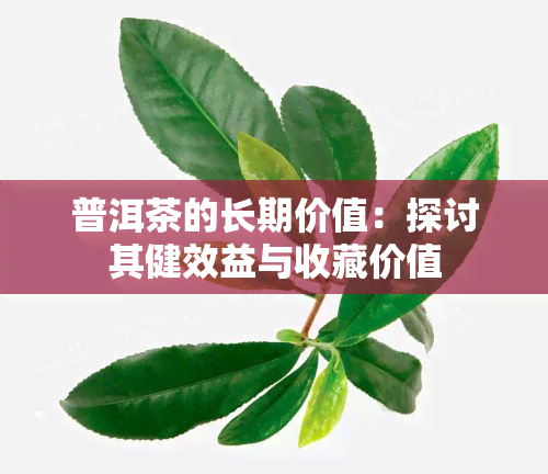 普洱茶的长期价值：探讨其健效益与收藏价值